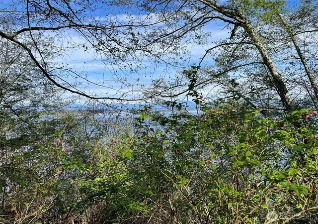 Photo 3 of Land for sale at 29 K Beach Way, Hat Island, WA 98206 | MLS# NWM2349550 | Listing updated on 2026-09-17