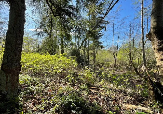 Photo 4 of Land for sale at 29 K Beach Way, Hat Island, WA 98206 | MLS# NWM2349550 | Listing updated on 2026-09-17