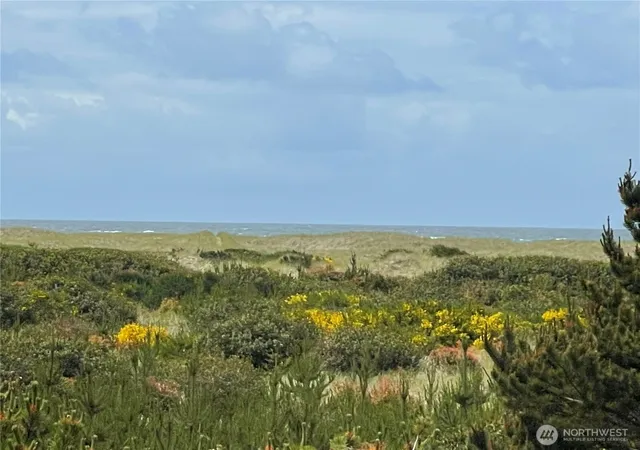 Photo 1 of Land for sale at 855 S Sand Dune Ave Sw, Ocean Shores, WA 98569 | MLS# NWM2352106 | Listing updated on 2026-09-17