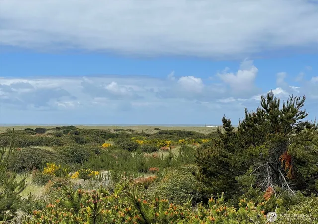 Photo 2 of Land for sale at 855 S Sand Dune Ave Sw, Ocean Shores, WA 98569 | MLS# NWM2352106 | Listing updated on 2026-09-17