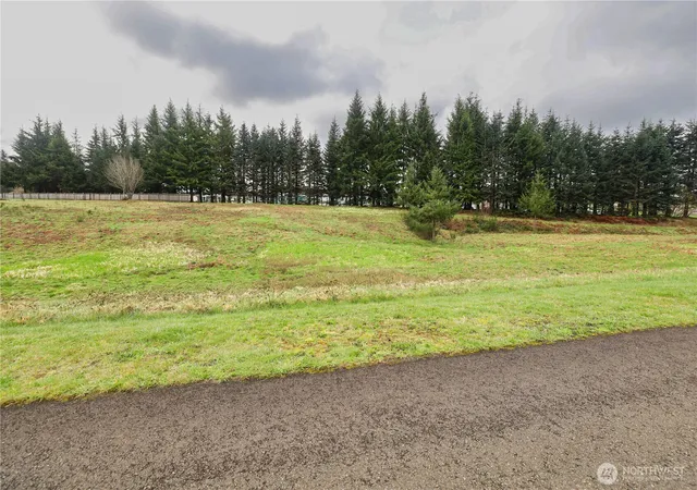 Photo 3 of Land for sale at 12 Grace Ln, Montesano, WA 98563 | MLS# NWM2352972 | Listing updated on 2026-09-17