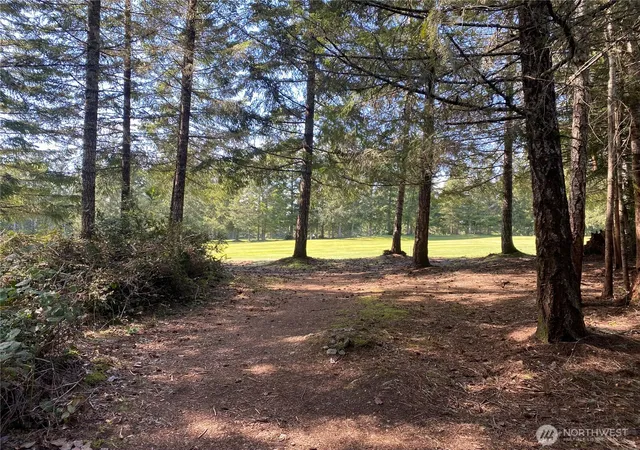 Photo 1 of Land for sale at 200 E Soderberg Rd, Allyn, WA 98524 | MLS# NWM2353494 | Listing updated on 2026-09-17