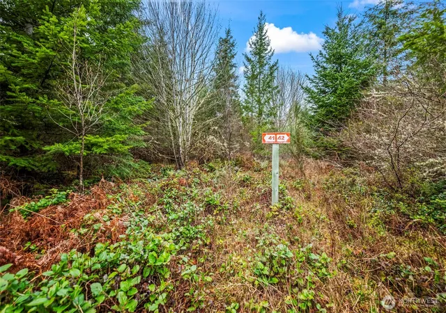 Photo 3 of Land for sale at 123 Highland Dr E, Roy, WA 98580 | MLS# NWM2353634 | Listing updated on 2026-09-17