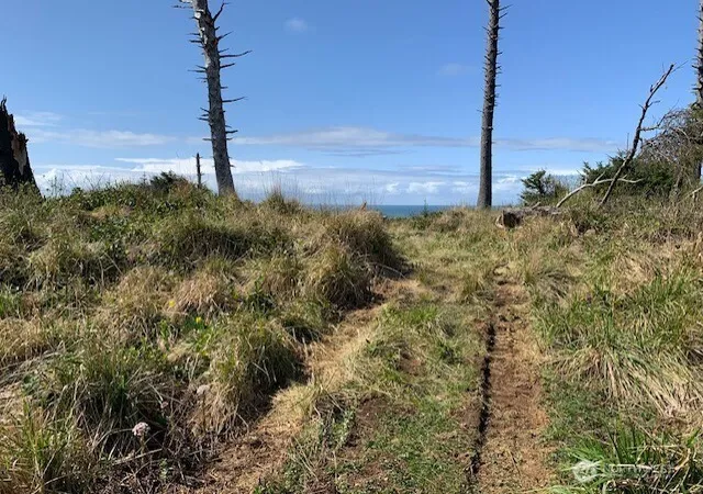 Photo 4 of Land for sale at 58 Chauncey Ln, Pacific Beach, WA 98571 | MLS# NWM2354874 | Listing updated on 2026-09-17