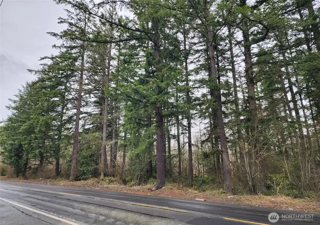 Land for sale at 0 126th Avenue E, Graham, WA 98338 | MLS# NWM2354947