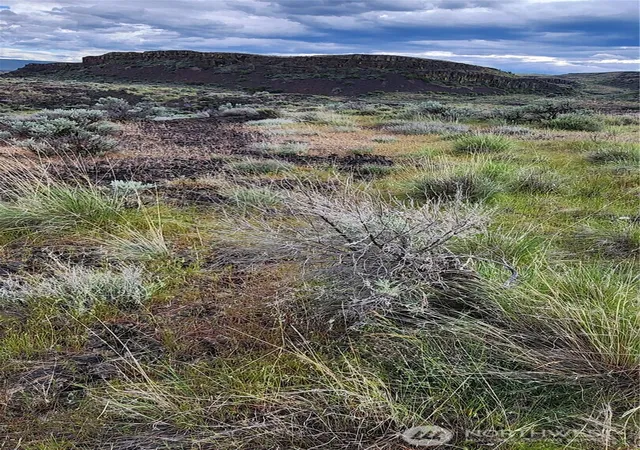 Photo 4 of Land for sale at 0 Lot 10 Singletree Dr, Ephrata, WA 98823 | MLS# NWM2356655 | Listing updated on 2026-09-17