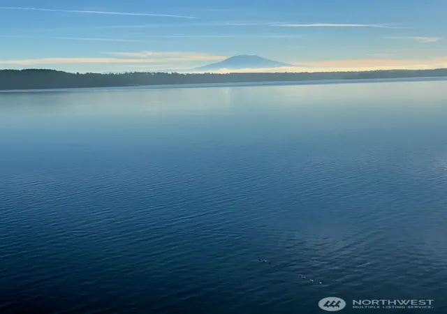 Photo 3 of Land for sale at 14811 71st Street NW, Lakebay, WA 98349 | MLS# NWM2357041 | Listing updated on 2026-09-17