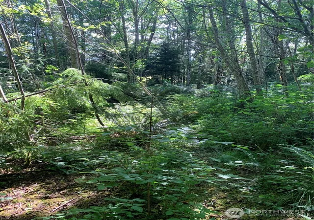 Photo 4 of Land for sale at 1 Tract Parpala Rd, Naselle, WA 98638 | MLS# NWM2357197 | Listing updated on 2026-09-17