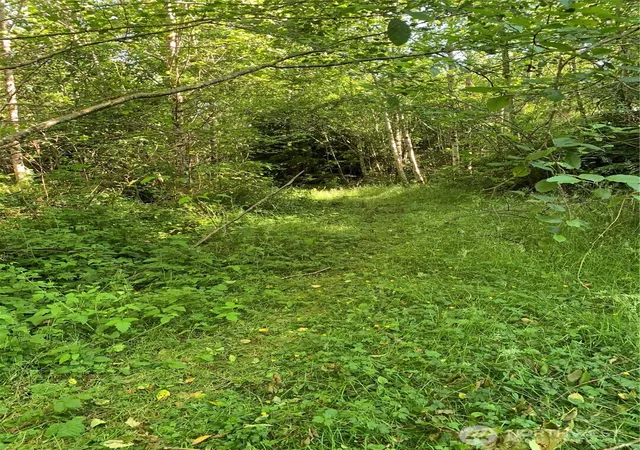 Land for sale at 2 Tract Parpala Rd, Naselle, WA 98638 | MLS# NWM2357199