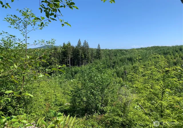 Photo 3 of Land for sale at 2 Tract Parpala Rd, Naselle, WA 98638 | MLS# NWM2357199 | Listing updated on 2026-09-17