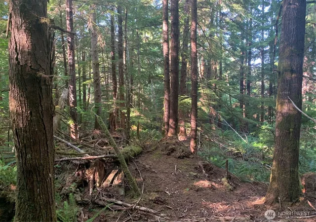 Photo 1 of Land for sale at 4 Tract Parpala Rd, Naselle, WA 98638 | MLS# NWM2357255 | Listing updated on 2026-09-17