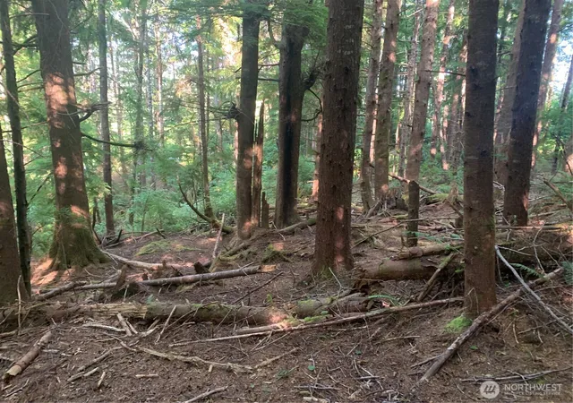 Photo 3 of Land for sale at 4 Tract Parpala Rd, Naselle, WA 98638 | MLS# NWM2357255 | Listing updated on 2026-09-17
