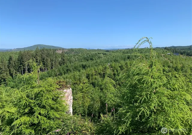 Photo 3 of Land for sale at 4 Tract Parpala Rd, Naselle, WA 98638 | MLS# NWM2357255 | Listing updated on 2026-09-17