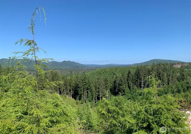 Photo 4 of Land for sale at 4 Tract Parpala Rd, Naselle, WA 98638 | MLS# NWM2357255 | Listing updated on 2026-09-17
