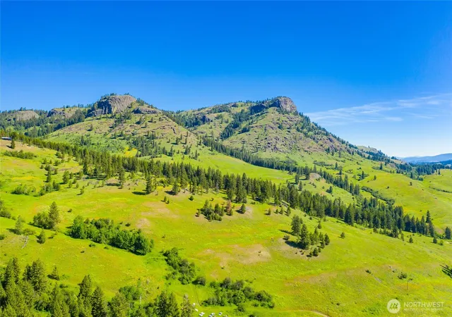 Photo 4 of Land for sale at 0 Tbd Cromwell Rd, Republic, WA 99166 | MLS# NWM2357778 | Listing updated on 2026-09-17