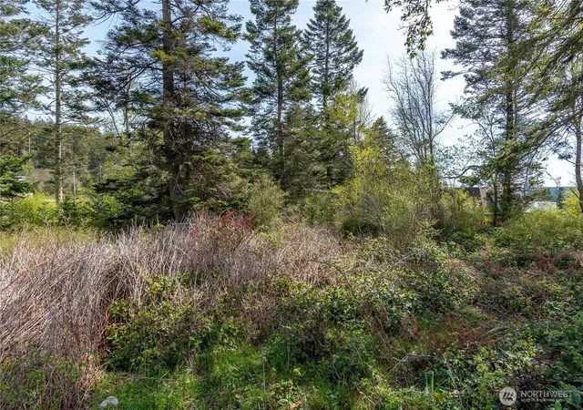Photo 3 of Land for sale at 0 El Mar, Coupeville, WA 98239 | MLS# NWM2358190 | Listing updated on 2026-09-17