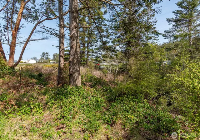 Photo 4 of Land for sale at 0 El Mar, Coupeville, WA 98239 | MLS# NWM2358190 | Listing updated on 2026-09-17