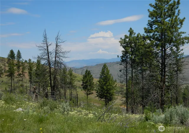 Photo 2 of Land for sale at 428 Five Mile Rd, Tonasket, WA 98855 | MLS# NWM2359179 | Listing updated on 2026-09-17