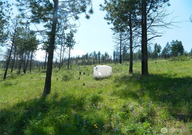 Photo 3 of Land for sale at 428 Five Mile Rd, Tonasket, WA 98855 | MLS# NWM2359179 | Listing updated on 2026-09-17