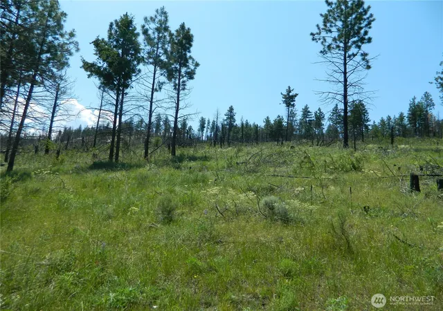 Photo 4 of Land for sale at 428 Five Mile Rd, Tonasket, WA 98855 | MLS# NWM2359179 | Listing updated on 2026-09-17