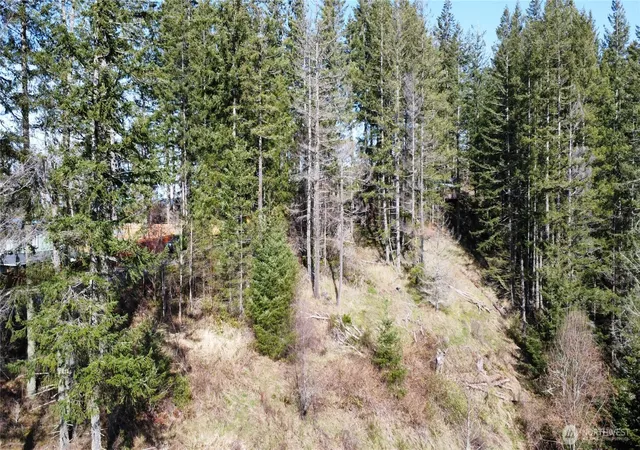 Photo 2 of Land for sale at 50215 146th Avenue E, Eatonville, WA 98328 | MLS# NWM2361153 | Listing updated on 2026-09-17