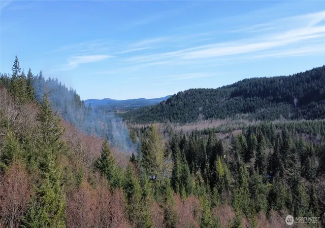 Photo 3 of Land for sale at 50215 146th Avenue E, Eatonville, WA 98328 | MLS# NWM2361153 | Listing updated on 2026-09-17