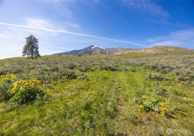 Photo 4 of Land for sale at 0 Goat Ridge Lot 7 Hwy 153 #7, Pateros, WA 98846 | MLS# NWM2361261 | Listing updated on 2026-09-17