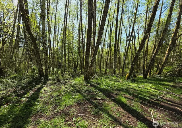 Photo 4 of Land for sale at 0 Mill Fls Ln, Longview, WA 98632 | MLS# NWM2361657 | Listing updated on 2026-09-17