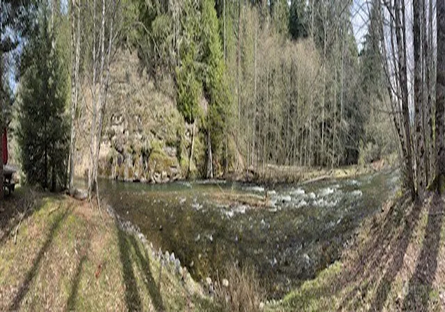 Photo 3 of Land for sale at 11101 Riverview Dr E, Enumclaw, WA 98022 | MLS# NWM2362290 | Listing updated on 2026-09-17