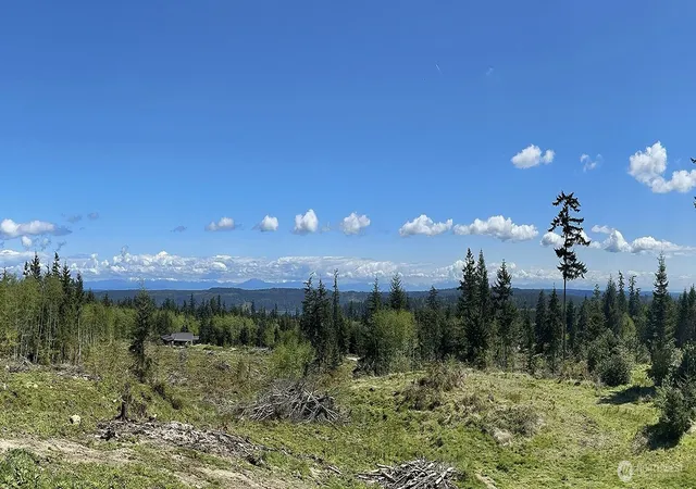 Photo 1 of Land for sale at 0 Woodland Ln, Greenbank, WA 98253 | MLS# NWM2362874 | Listing updated on 2026-09-17