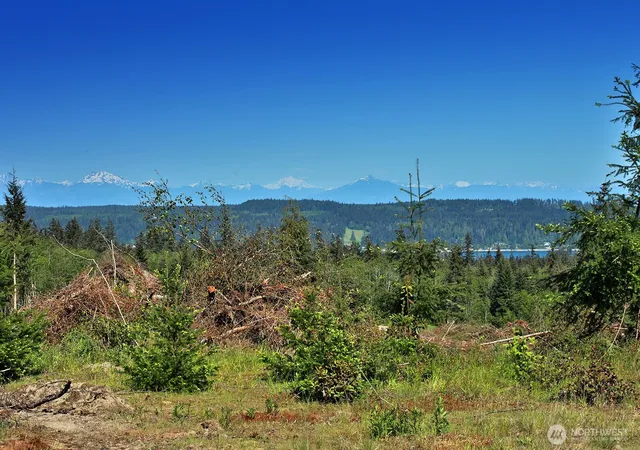 Photo 3 of Land for sale at 0 Woodland Ln, Greenbank, WA 98253 | MLS# NWM2362874 | Listing updated on 2026-09-17