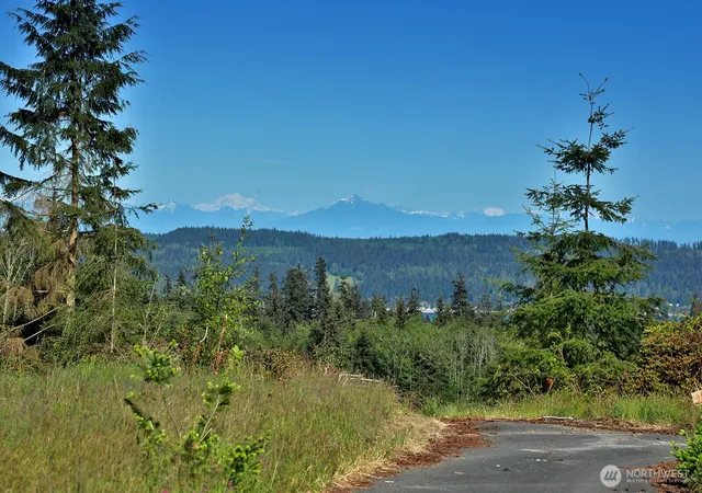 Photo 3 of Land for sale at 0 Woodland Ln, Greenbank, WA 98253 | MLS# NWM2362874 | Listing updated on 2026-09-17