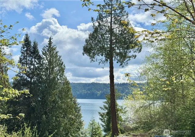 Photo 3 of Land for sale at 145 N Shar Ln, Lilliwaup, WA 98555 | MLS# NWM2363851 | Listing updated on 2026-09-17