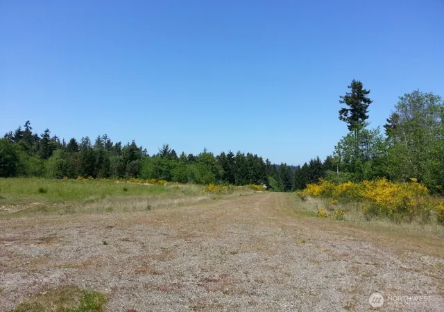 Photo 3 of Land for sale at 8510 112th Avenue, Anderson Island, WA 98303 | MLS# NWM2365218 | Listing updated on 2026-09-17