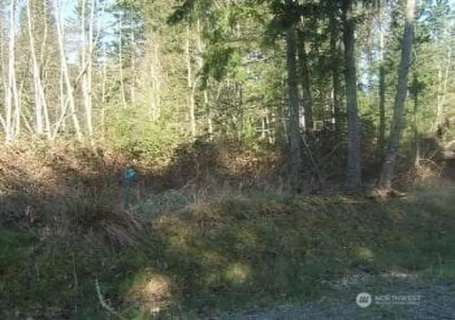 Photo 3 of Land for sale at 8406 112th Avenue, Anderson Island, WA 98303 | MLS# NWM2365264 | Listing updated on 2026-09-17