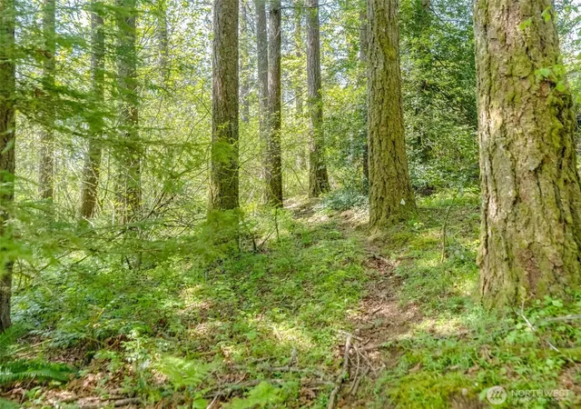 Photo 2 of Land for sale at 0 Se Xxx 362nd Ave, Washougal, WA 98671 | MLS# NWM2365284 | Listing updated on 2026-09-23