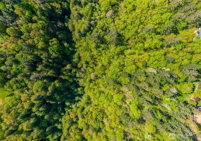Photo 3 of Land for sale at 0 SE Xxx 362nd Ave, Washougal, WA 98671 | MLS# NWM2365284 | Listing updated on 2026-09-23