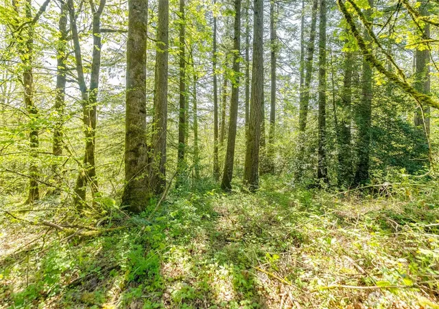 Photo 4 of Land for sale at 0 SE Xxx 362nd Ave, Washougal, WA 98671 | MLS# NWM2365284 | Listing updated on 2026-09-23