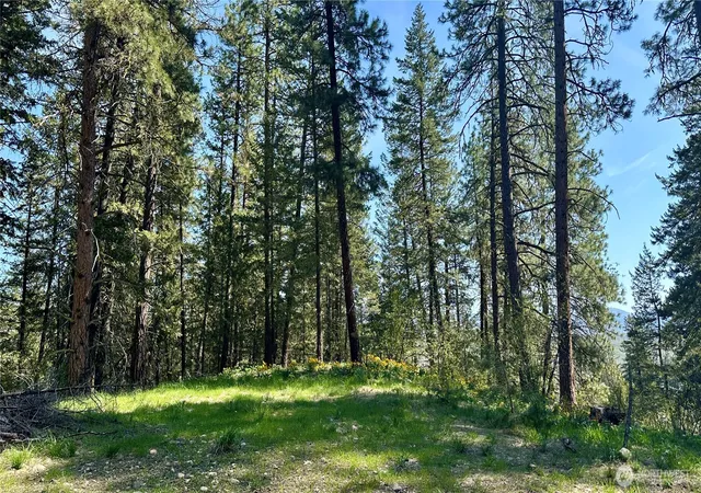 Land for sale at 13 Sundance Ln, Winthrop, WA 98862 | MLS# NWM2365324