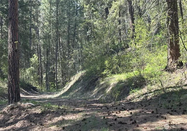 Photo 2 of Land for sale at 13 Sundance Ln, Winthrop, WA 98862 | MLS# NWM2365324 | Listing updated on 2026-09-17