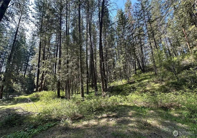 Photo 4 of Land for sale at 13 Sundance Ln, Winthrop, WA 98862 | MLS# NWM2365324 | Listing updated on 2026-09-17