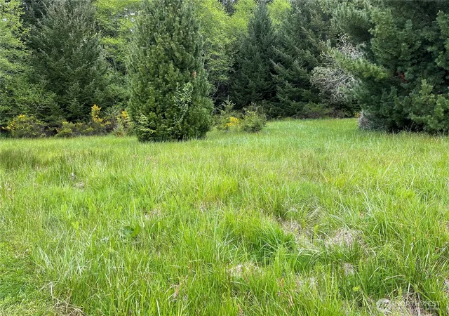 Land for sale at 0 SE Xxxx 224th St, Kent, WA 98042 | MLS# NWM2365351