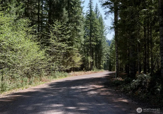 Photo 3 of Land for sale at 1 Loowit Ln, Cougar, WA 98616 | MLS# NWM2365635 | Listing updated on 2026-09-17