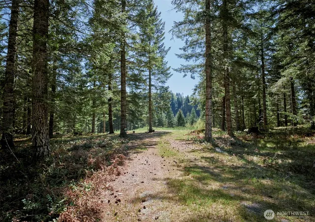 Photo 4 of Land for sale at 1 Loowit Ln, Cougar, WA 98616 | MLS# NWM2365635 | Listing updated on 2026-09-17