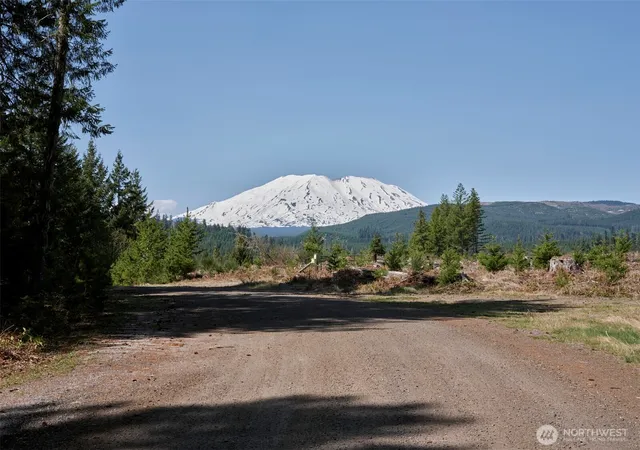 Photo 4 of Land for sale at 2 Loowit Ln, Cougar, WA 98616 | MLS# NWM2365638 | Listing updated on 2026-09-17