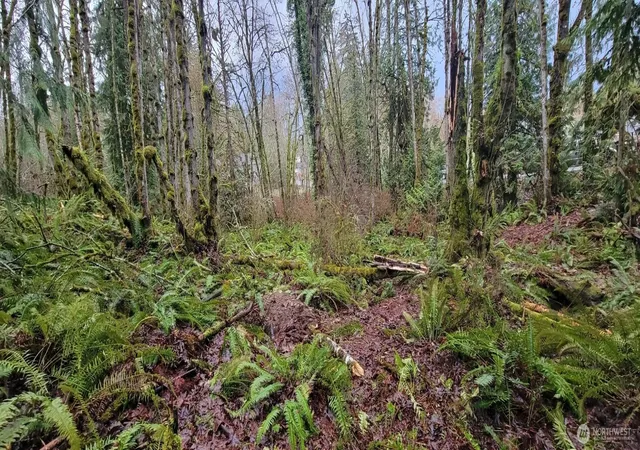 Photo 1 of Land for sale at 0 Nevada Ave & Michigan St, Manchester, WA 98353 | MLS# NWM2365944 | Listing updated on 2026-09-17