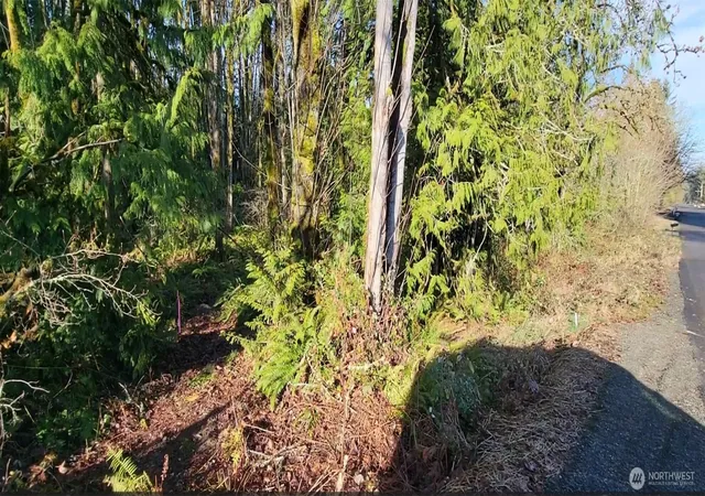 Photo 2 of Land for sale at 0 Nevada Ave & Michigan St, Manchester, WA 98353 | MLS# NWM2365944 | Listing updated on 2026-09-17