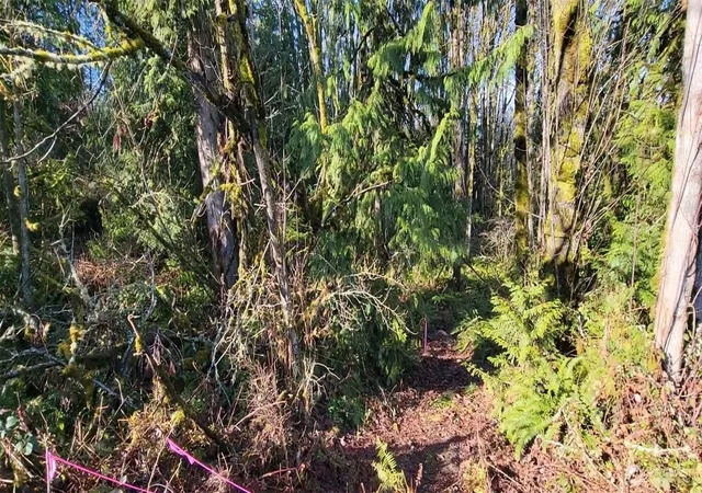 Photo 3 of Land for sale at 0 Nevada Ave & Michigan St, Manchester, WA 98353 | MLS# NWM2365944 | Listing updated on 2026-09-17
