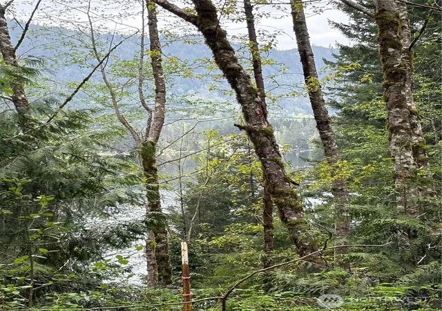 Photo 1 of Land for sale at 0 W Xxxxx Shore Dr, Mount Vernon, WA 98274 | MLS# NWM2366254 | Listing updated on 2026-09-17