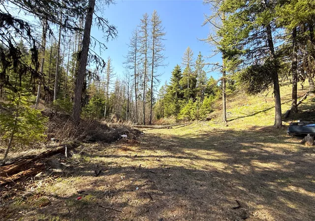 Photo 1 of Land for sale at 0 Tbd Give Out Crk Rd, Wauconda, WA 98859 | MLS# NWM2368327 | Listing updated on 2026-09-17